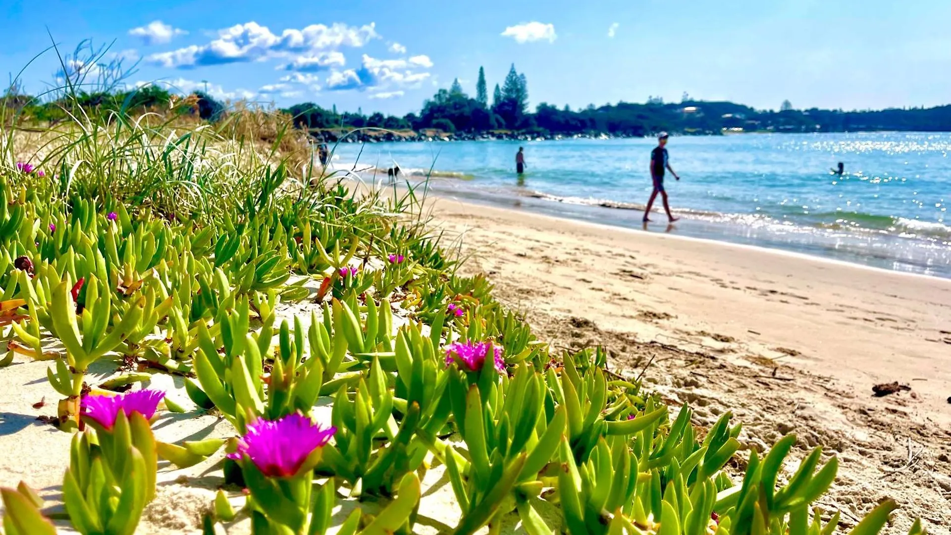 Two Apartments Salt & Sand At Lazy Days On Shaws Bay - 150M To Shaws Bay East Ballina 0*,